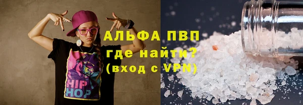 сатива Иннополис