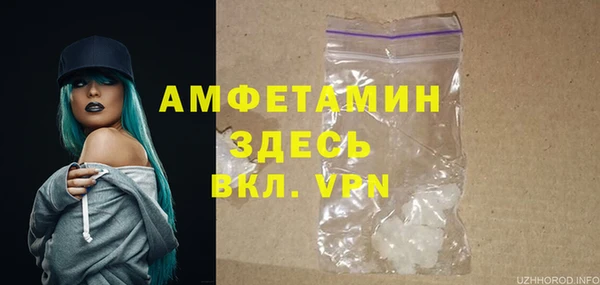 сатива Иннополис