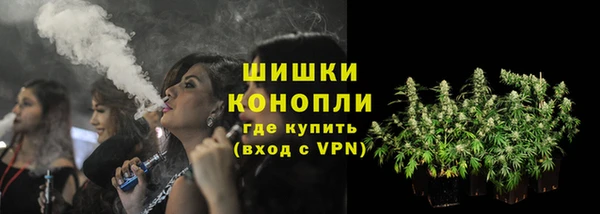 сатива Иннополис