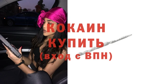 сатива Иннополис