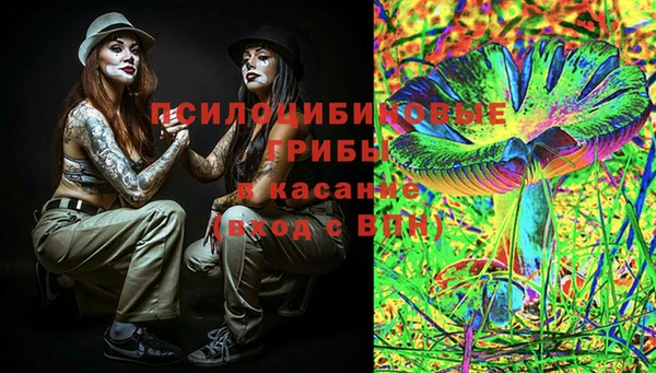 сатива Иннополис
