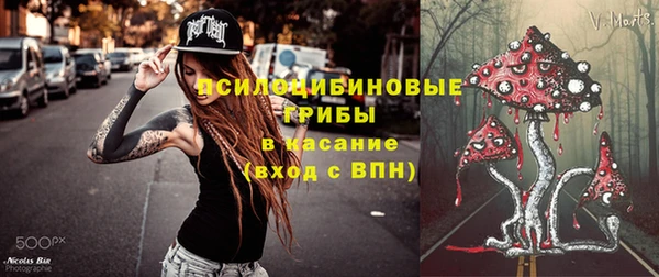 сатива Иннополис