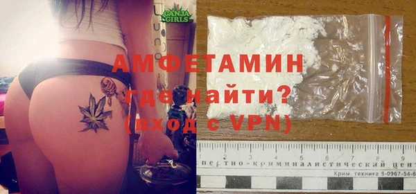 сатива Иннополис