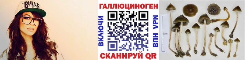 Псилоцибиновые грибы Magic Shrooms  Купить закладки  Голицыно 